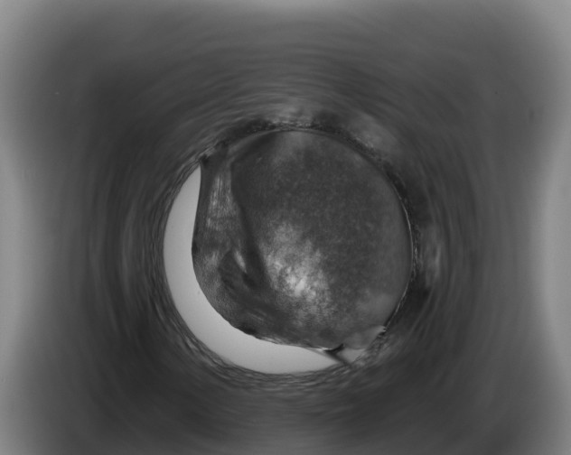 X0000086321154200704202016