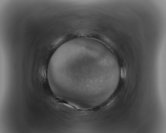 X0000086321155200704202016