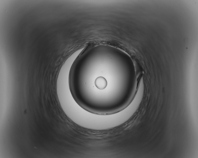 X0000086321156200704202016