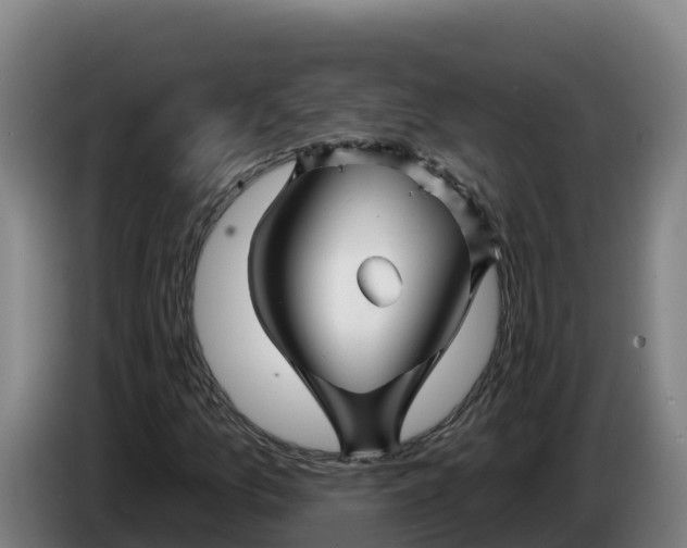 X0000086321157200704202016