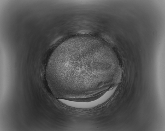 X0000086321158200704202016