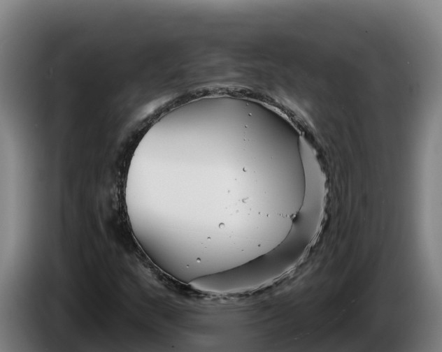 X0000086321159200704202016