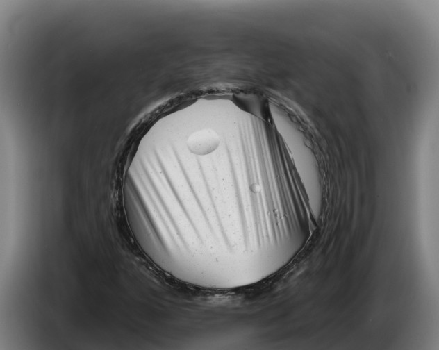 X0000086321160200704202016