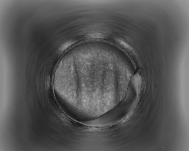 X0000086321161200704202016