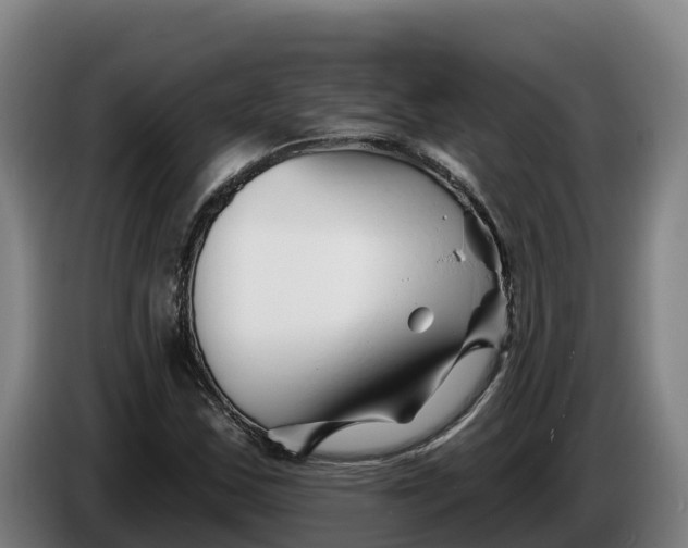 X0000086321163200704202016