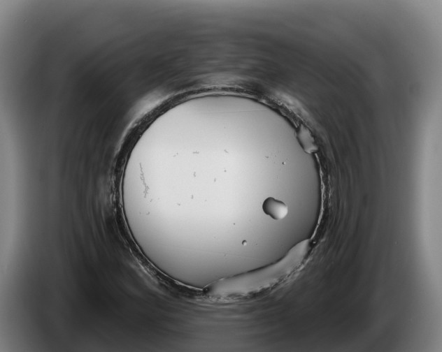 X0000086321164200704202016