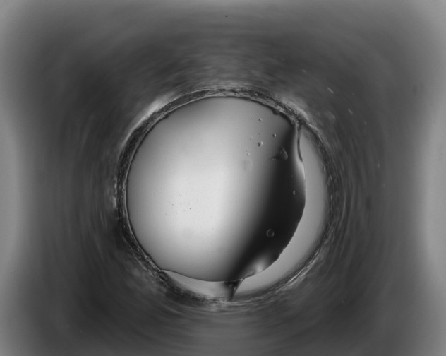 X0000086321165200704202016