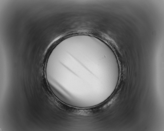 X0000086321166200704202016