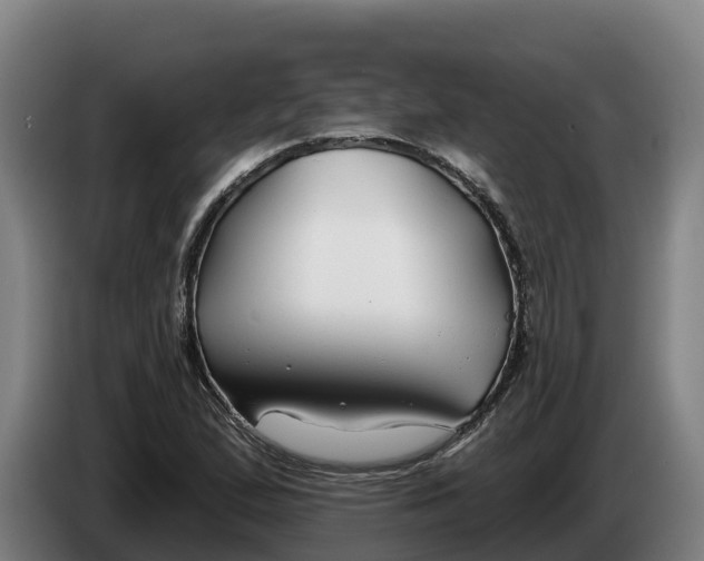 X0000086321167200704202016