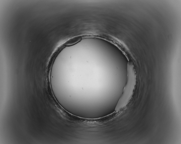 X0000086321168200704202016