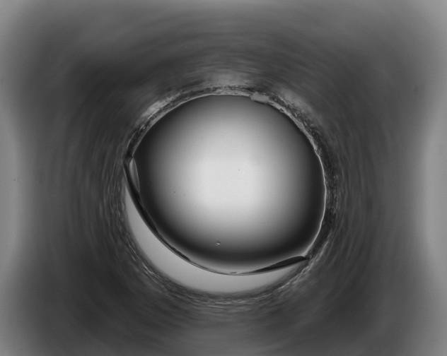 X0000086321169200704202016