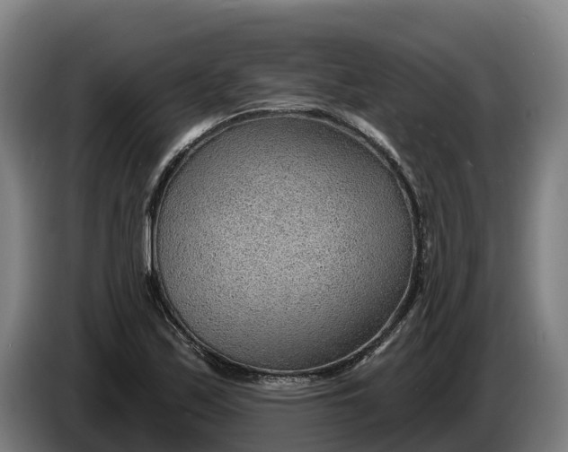 X0000086321171200704202016