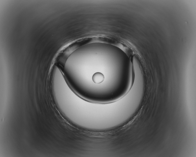 X0000086321172200704202016