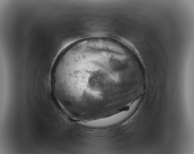 X0000086321174200704202016