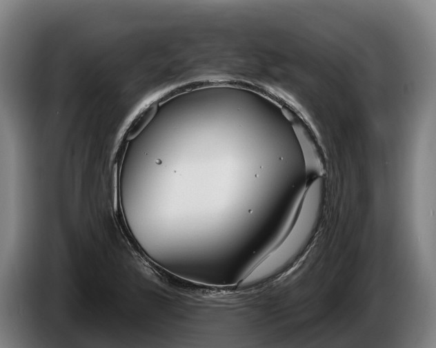 X0000086321175200704202016