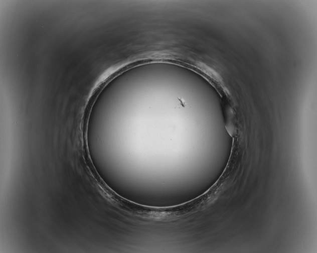 X0000086321176200704202016