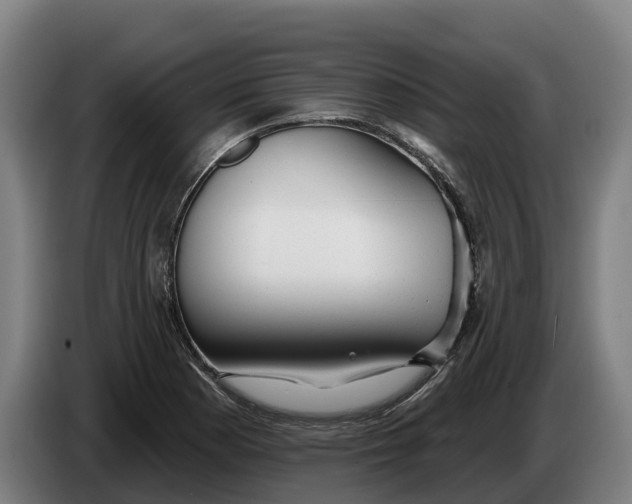 X0000086321177200704202016