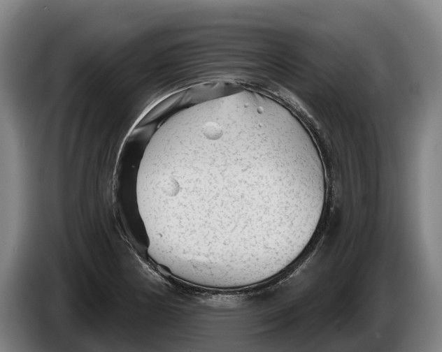 X0000086321178200704202016