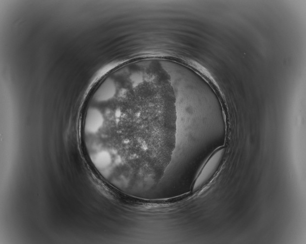 X0000086321179200704202016