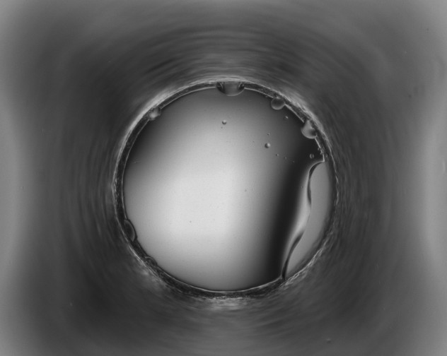 X0000086321181200704202016