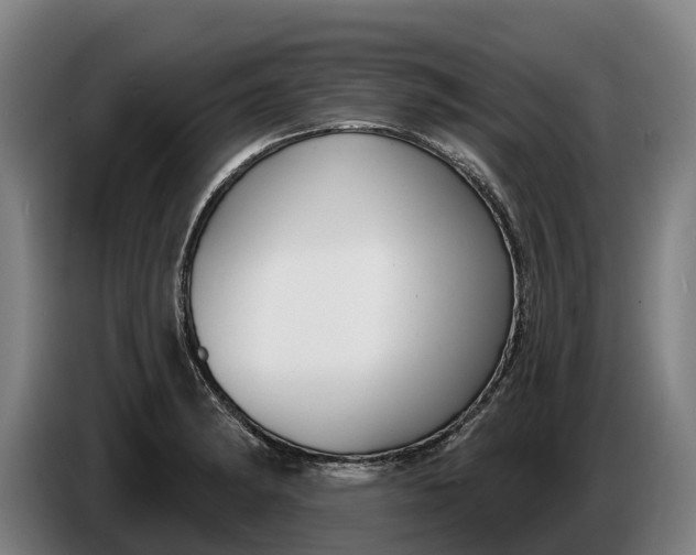 X0000086321182200704202016