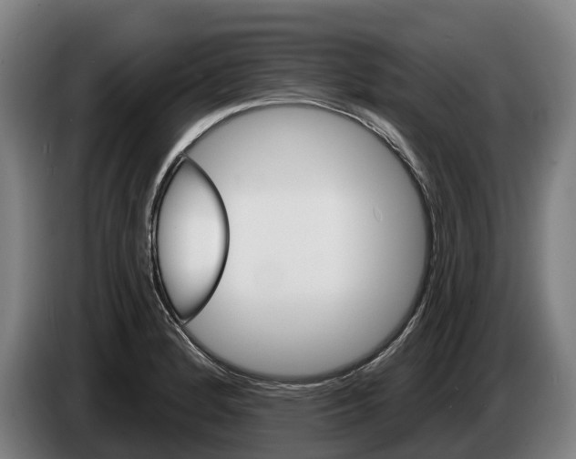 X0000086321184200704202016