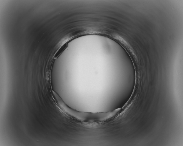 X0000086321185200704202016