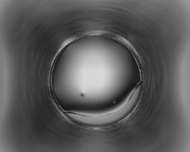 X0000086321186200704202016