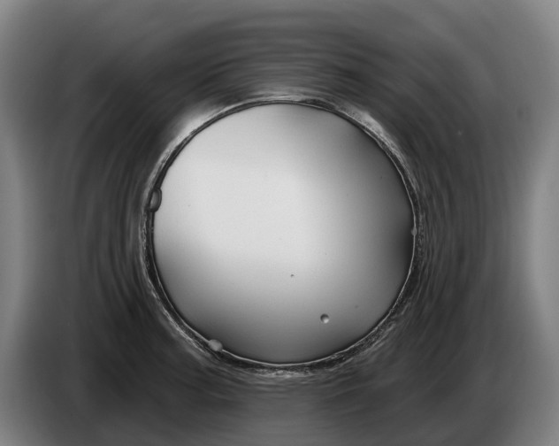 X0000086321187200704202016