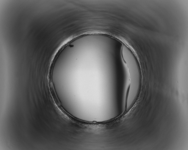 X0000086321189200704202016