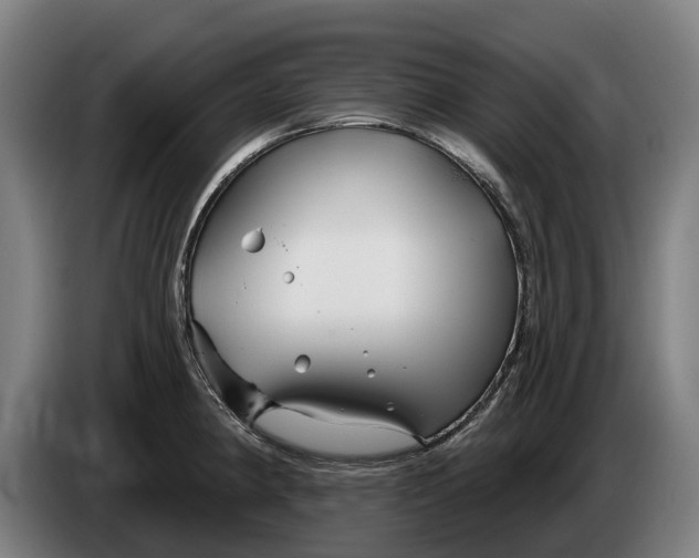 X0000086321190200704202016