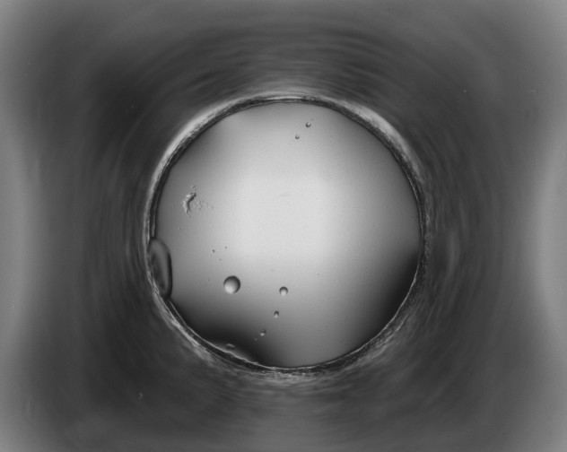 X0000086321191200704202016