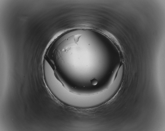 X0000086321192200704202016