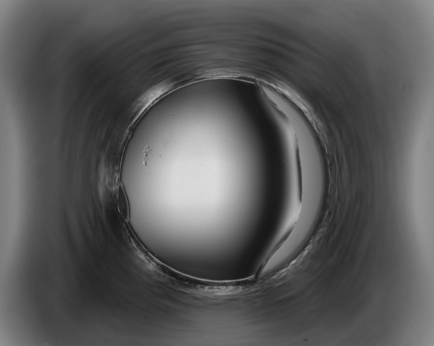 X0000086321193200704202016