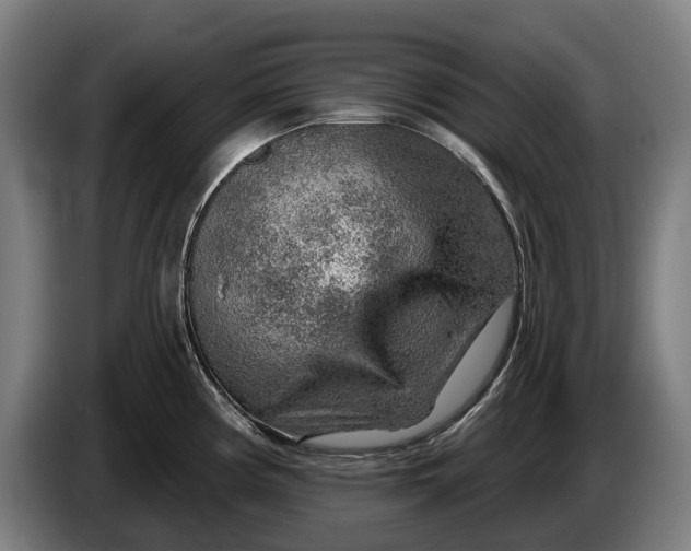 X0000086321194200704202016