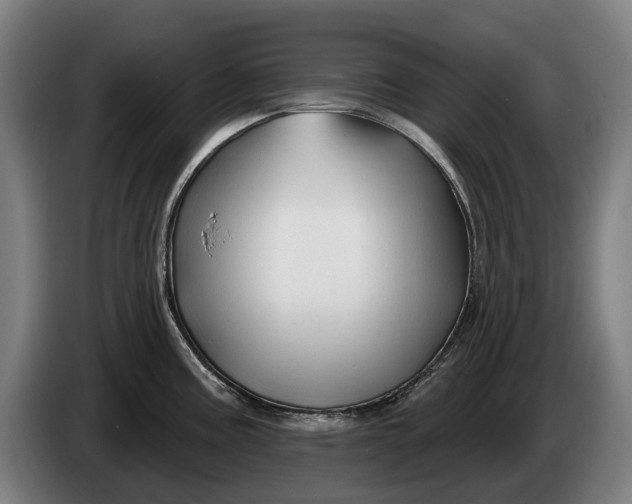 X0000086321195200704202016