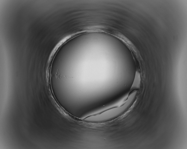 X0000086321196200704202016