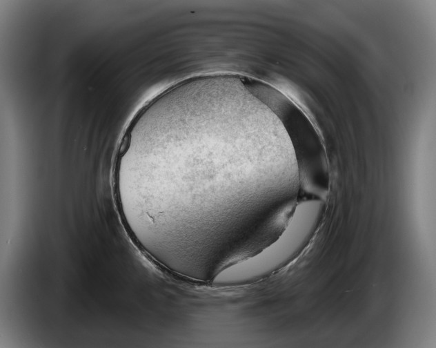 X0000086321197200704202016