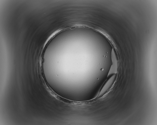 X0000086321198200704202016