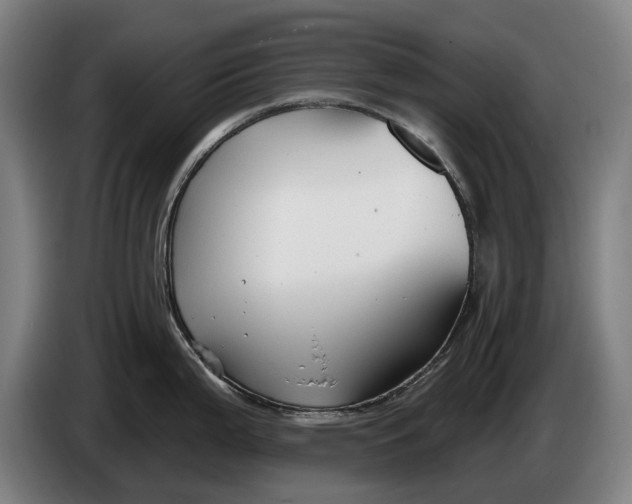 X0000086321199200704202016