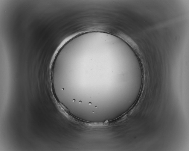 X0000086321200200704202016