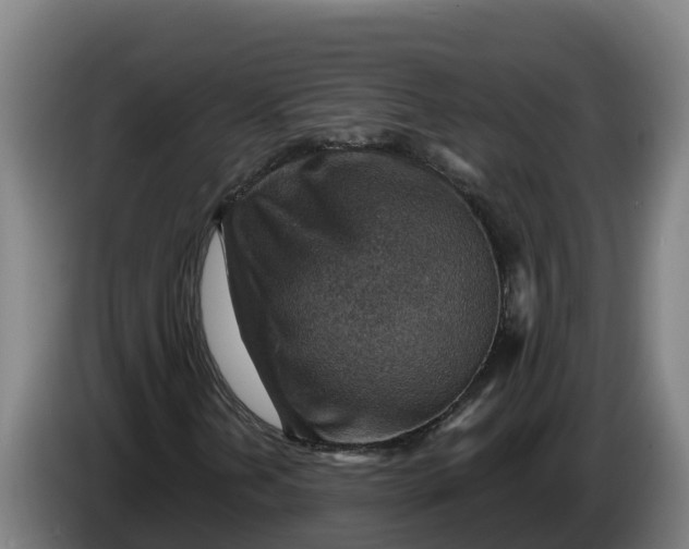 X0000086321202200704202015