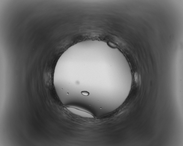 X0000086321203200704202015