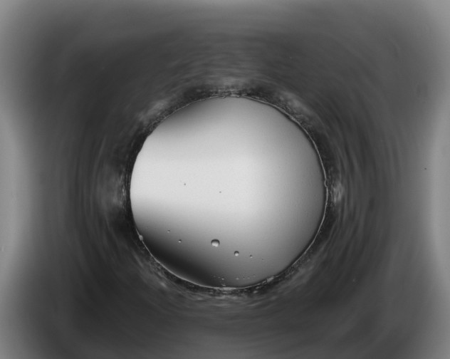 X0000086321204200704202015