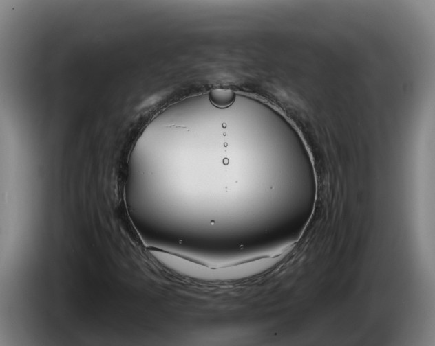 X0000086321205200704202015