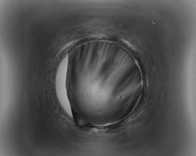 X0000086321206200704202015