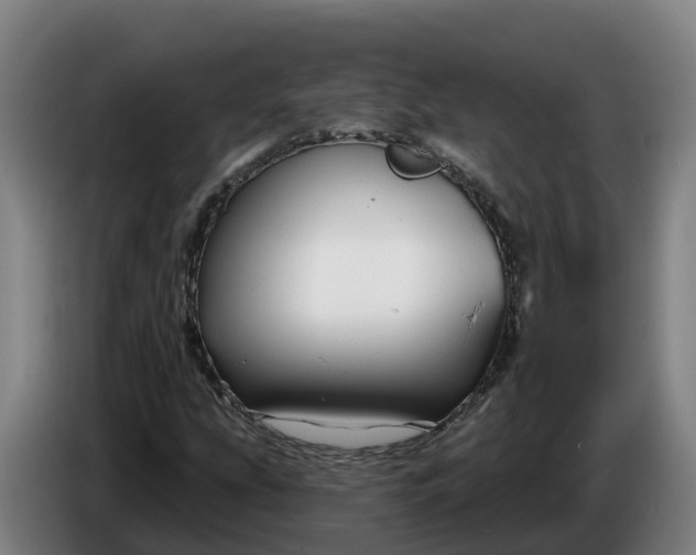 X0000086321207200704202015