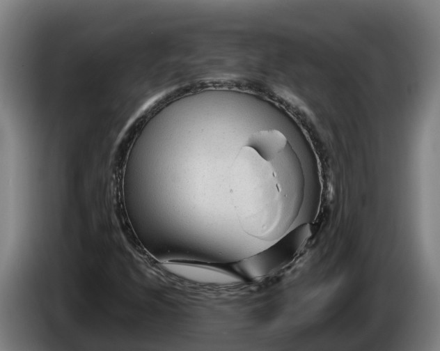 X0000086321208200704202015