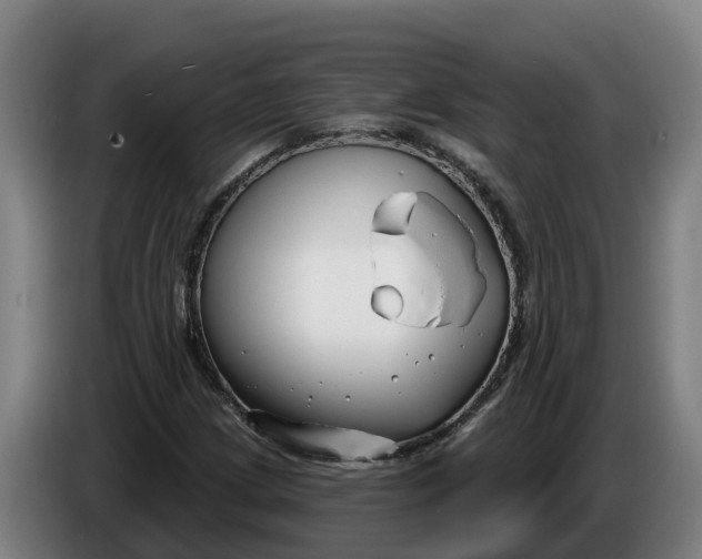 X0000086321209200704202015