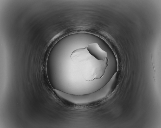 X0000086321210200704202015